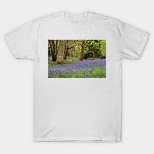 Bluebell Woods Basildon Park Berkshire UK T-Shirt